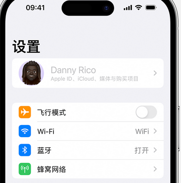 袁州appleID维修服务iPhone设置中Apple ID显示为灰色无法使用