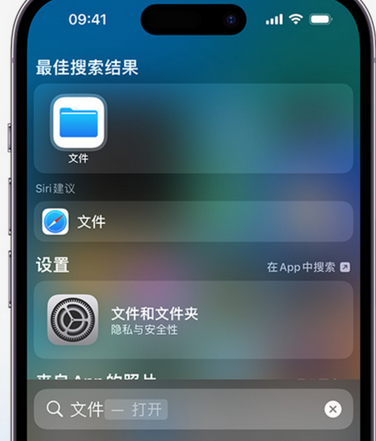 袁州apple维修中心分享iPhone文件应用中存储和找到下载文件 