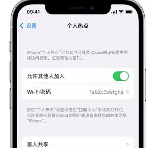 袁州apple服务站点分享iPhone上个人热点丢失了怎么办 