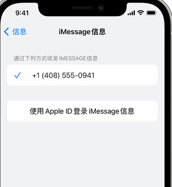 袁州apple维修iPhone上无法正常发送iMessage信息 