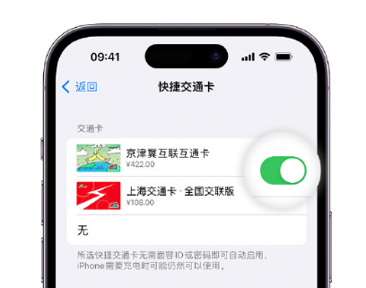 袁州apple维修点分享iPhone上更换Apple Pay快捷交通卡手绘卡面 