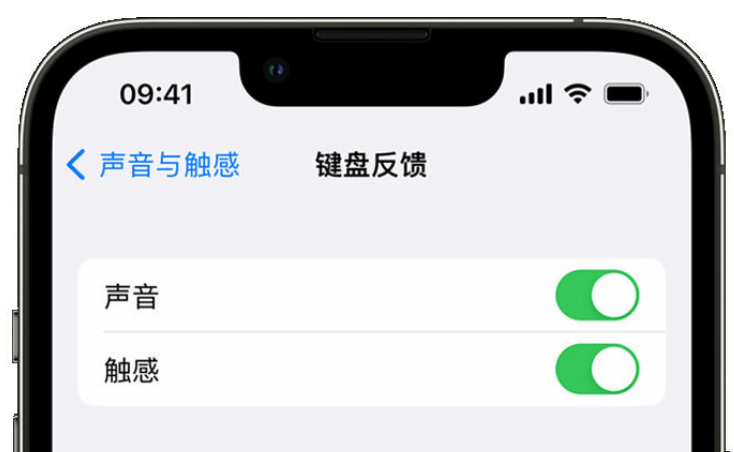 袁州苹果手机维修分享iPhone 14触感键盘使用方法 