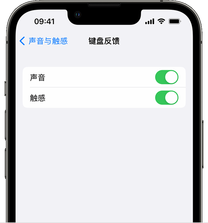 袁州苹果14维修店分享如何在 iPhone 14 机型中使用触感键盘 