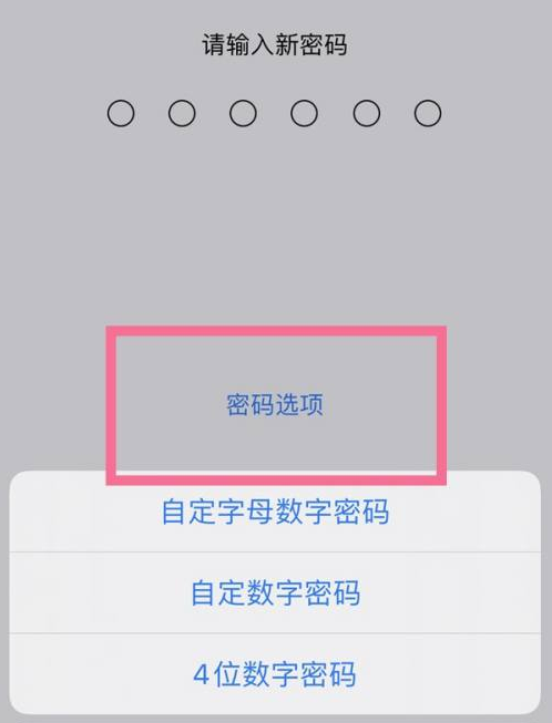 袁州苹果14维修分享iPhone 14plus设置密码的方法 