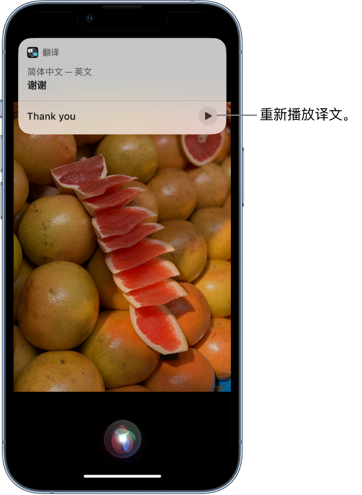 袁州苹果14维修分享 iPhone 14 机型中使用 Siri：了解 Siri 能帮你做什么 