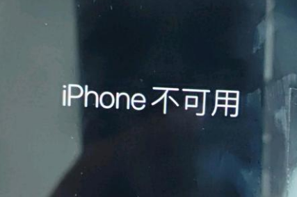 袁州苹果服务网点分享锁屏界面显示“iPhone 不可用”如何解决 