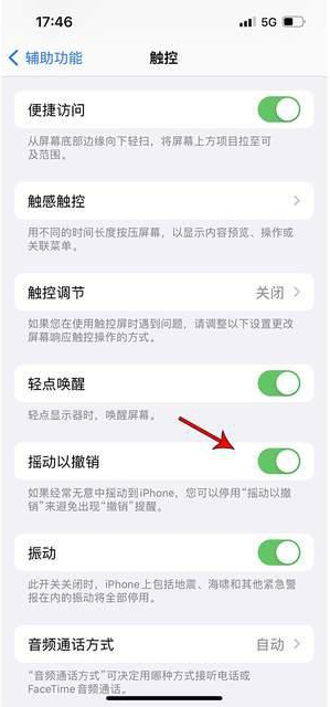 袁州苹果手机维修分享iPhone手机如何设置摇一摇删除文字 