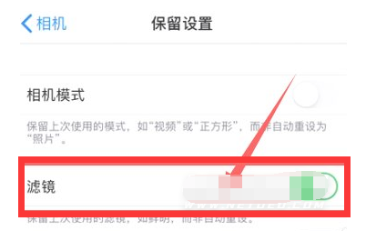 袁州苹果13维修分享iPhone13拍照有绿点是怎么回事 