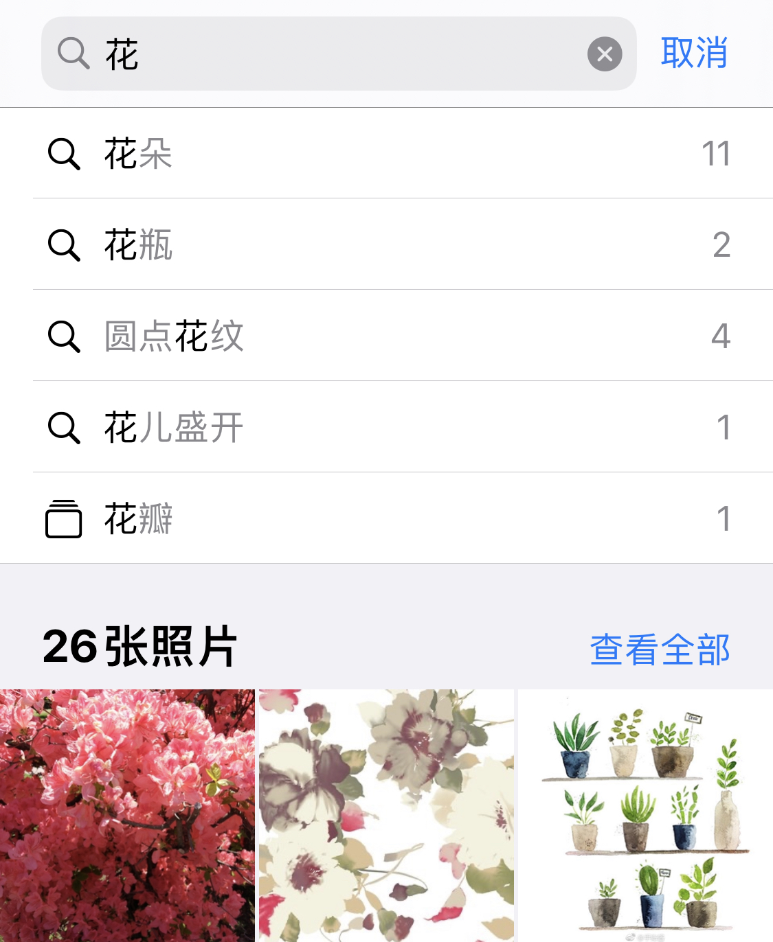 袁州苹果手机维修分享iPhone 小技巧 