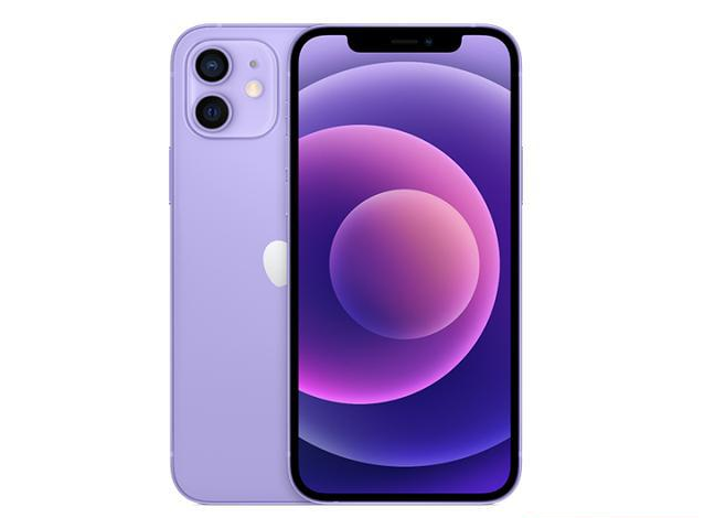 袁州苹果手机维修分享现阶段要不要入手紫色版iPhone12 