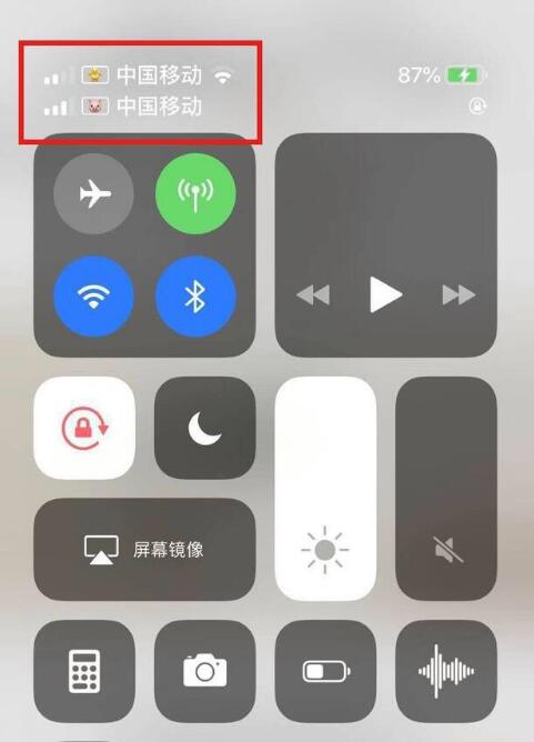 袁州苹果手机维修分享为 iPhone 12 双卡设置标签 