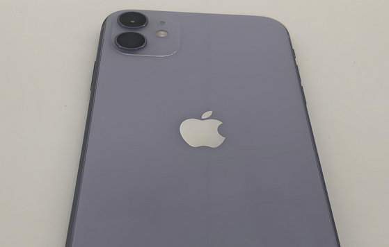 袁州苹果11系统维修分享iPhone11手机系统崩溃无法开机如何解决